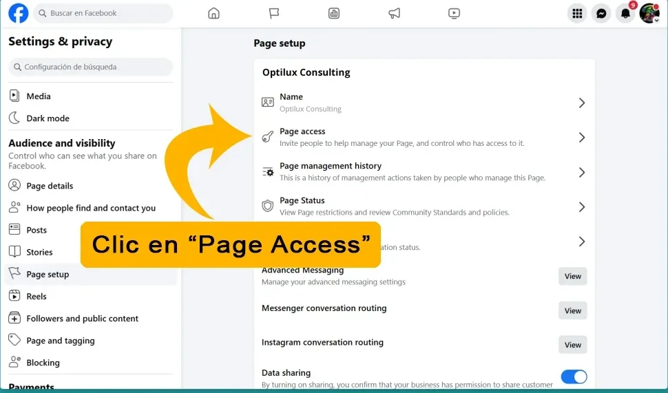 Opción Acceso a la página